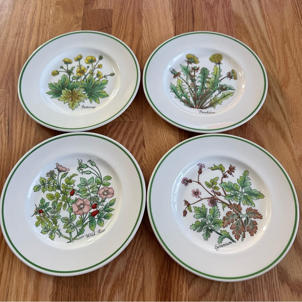 Tiffany & Co. Botanical Wild Flowers Salad Plates Johnson Brothers Set of 4